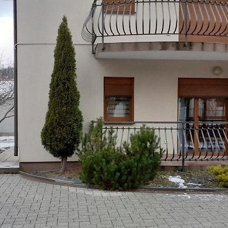 Apartments With A Parking Space Fuzine, Gorski Kotar - 19537 Zewnętrze zdjęcie